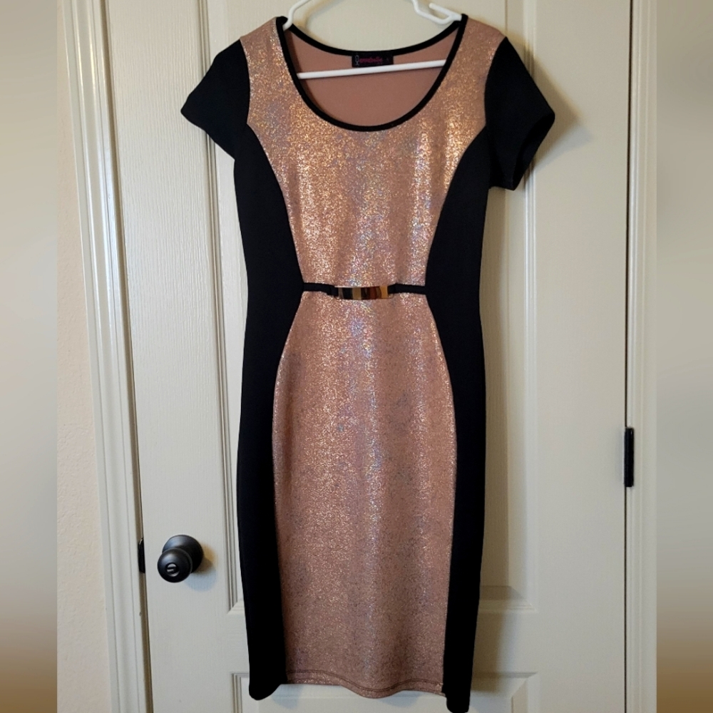 champagne pink dress